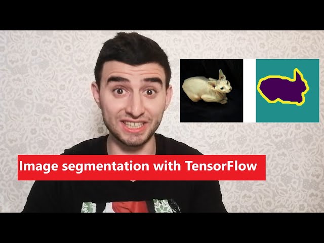TensorFlow Image Segmentation: An Example