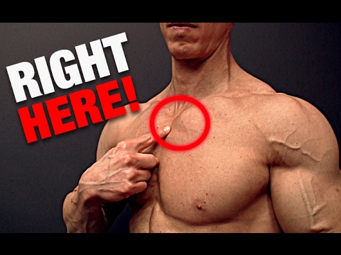 The Key to Bigger Pecs (AND HEALTHY SHOULDERS!) - UCe0TLA0EsQbE-MjuHXevj2A