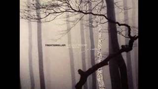 Trentemoller - Into the Trees