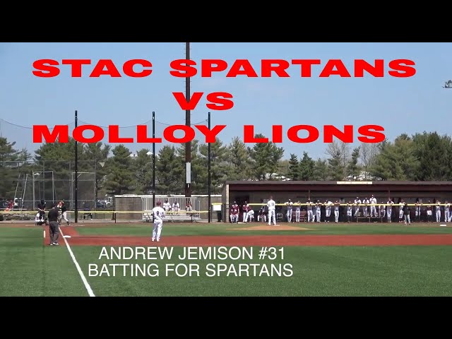 Molloy College Baseball: A Team on the Rise