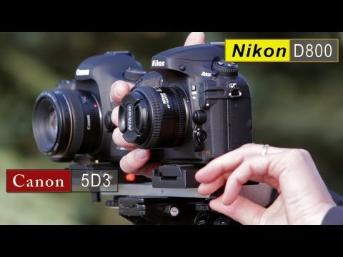 Canon 5D Mark III vs Nikon D800 Comparison - UCpPnsOUPkWcukhWUVcTJvnA