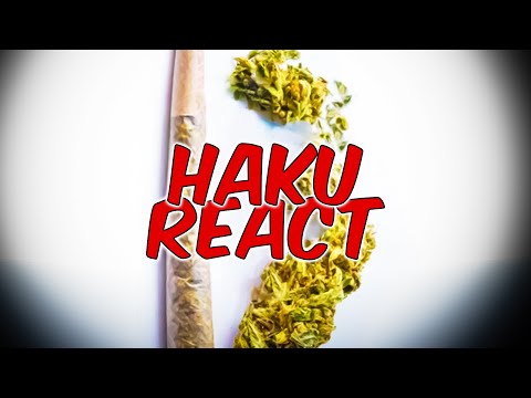 KALAZH44 x CAPITAL BRA - Sehr dreckig  / HAKU REACTION