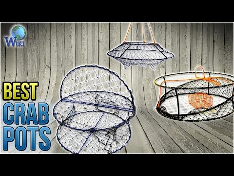 10 Best Crab Pots 2018 - UCXAHpX2xDhmjqtA-ANgsGmw