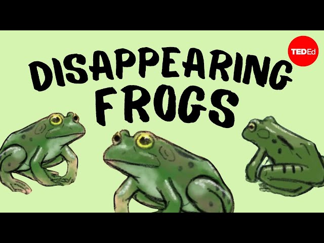How Do Frogs Sleep? The Answer May Surprise You!