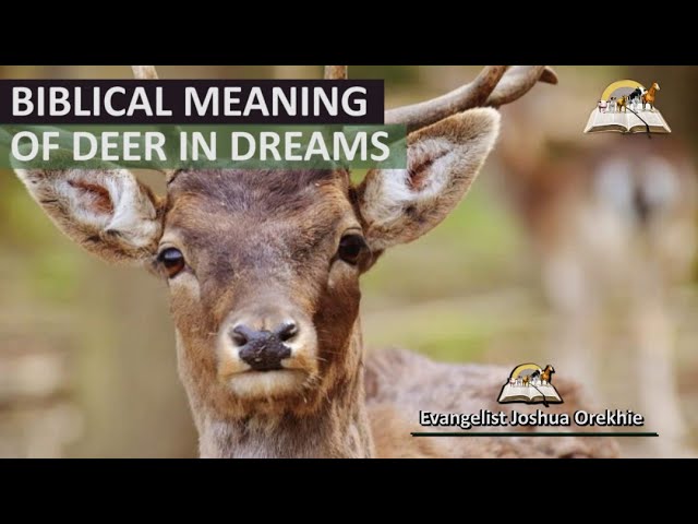 what-does-it-mean-biblically-to-dream-about-a-deer-stuffsure