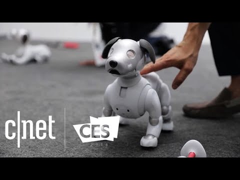 CNET's best tech of CES 2018 - UCOmcA3f_RrH6b9NmcNa4tdg