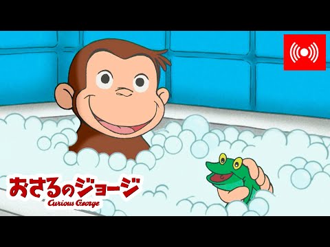 ライブ配信 🔴  おさるのジョージ 🐵 ジョージは泡風呂が大好き 🧼🐸