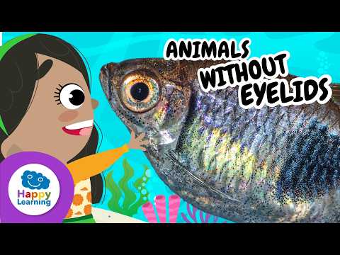 🐟 FISH: HOW DO THEY BREATHE UNDERWATER? | Educational Videos for Children | @HappyLearningEN