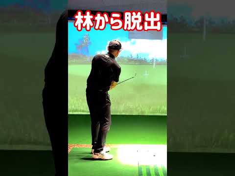 低い球で林から脱出。トラブルショット#ゴルフレッスン #golf #OK ON GOLF