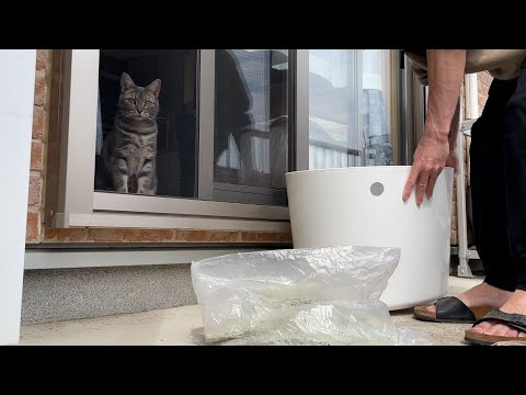 トイレ掃除するから見ててね(閲覧注意)