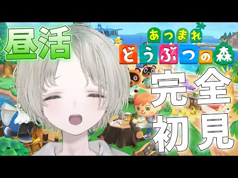 【あつ森】完全初見！昼活のあつ森！お昼休憩のんびり楽しみます！初見歓迎【可夢ヰみふう/あつまれ どうぶつの森】 サムネイル