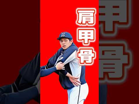 骨盤を閉じる〈ドローイン〉 #ダイエット #ボディメイク #体幹 #yoga