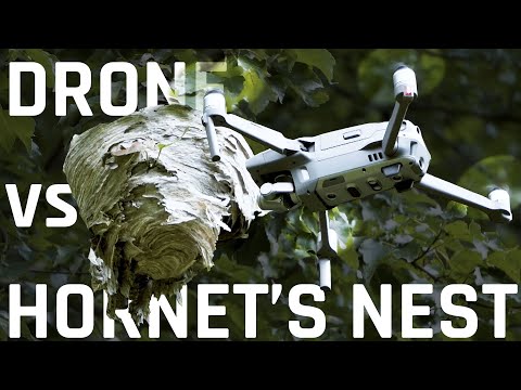 Drone vs Hornet&#39;s Nest - An Epic Battle - UCPKAKrjoMz7POptCloy7AIQ