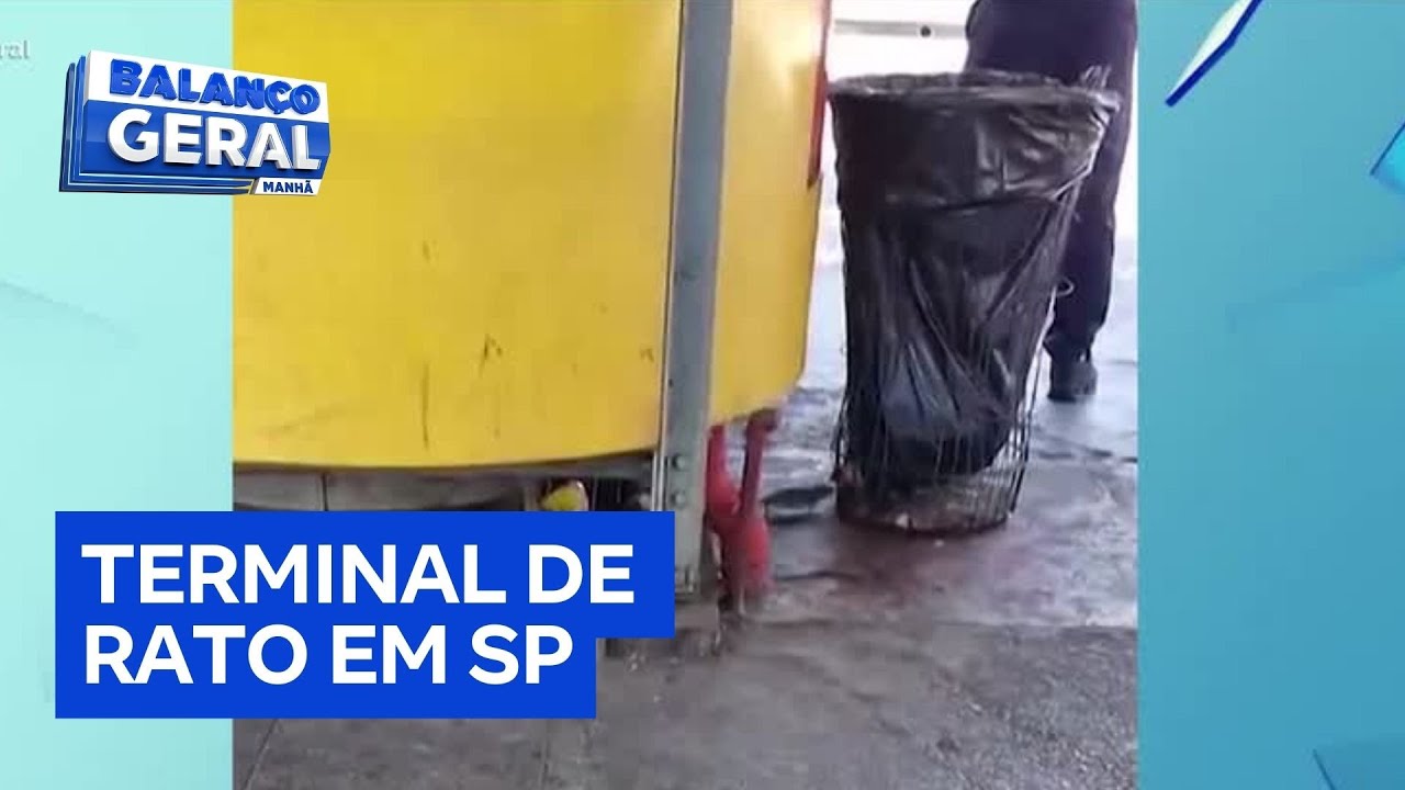 Usuários reclamam da infestação de ratos em terminal de ônibus no centro de São Paulo