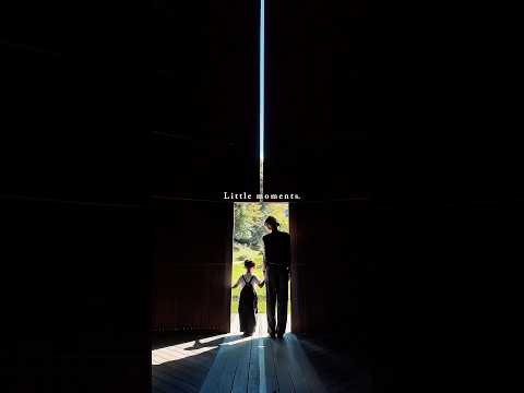 【シーズー】室生山上公園芸術の森がオシャレすぎた #シーズー #shihtzu #はに丸 #dog #犬のいる生活