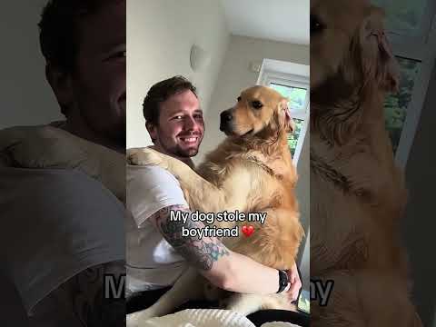 #funnydogs#cute#doglover#doglife#cure#dogshorts#pet#doglife#dogshorts