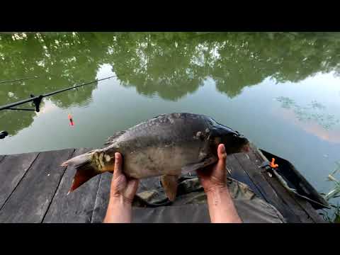 Nyár esti peca a Felső Kurcán