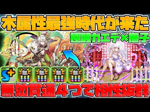 【持ってる人必見】極醒カエデが強すぎる！撫子アルバートなしでも裏修羅余裕！【パズドラ】
