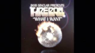 Bob Sinclar pres. Fireball - What I Want (Wideboys Electro Club Mix)