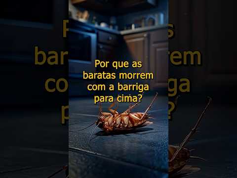 Por que as baratas morr3m de barriga pra cima? Não é coincidência.#curiosidade #barata #fatos