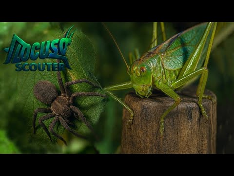 로커스트 스카우터 ep.3 해골섬의 산군