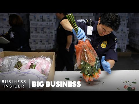 How 1.1 Billion Flowers Are Imported And Inspected In The US For V-Day | Big Business