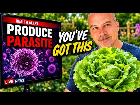 Should You Stop Buying Lettuce?