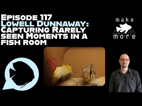 Ep.  117 - Lowell Dunnaway: Capturing Rarely Seen Moments in a Fish Room