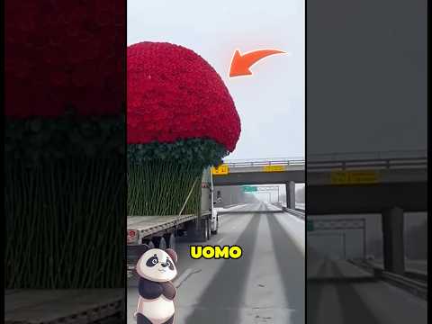 Ha COMPRATO i FIORI per SAN VALENTINO ma poi…😱 #virale