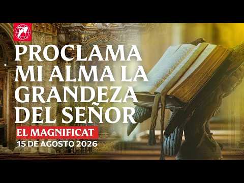 Lecturas y homilía – 2026-08-15 – P. Matthew