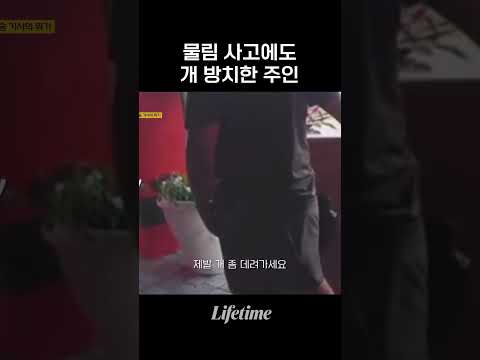 무는 <strong>개</strong> 방치하는 견주