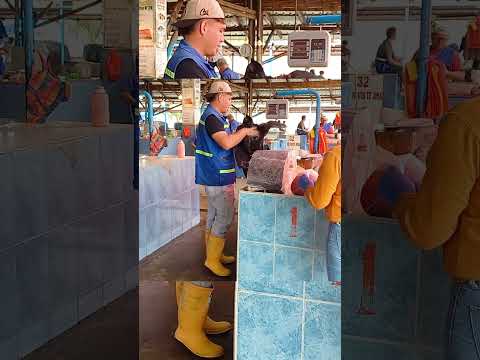 EL MERCADO DE PESCADO MANTA TIENE UN TECHO DE BAMBÚ