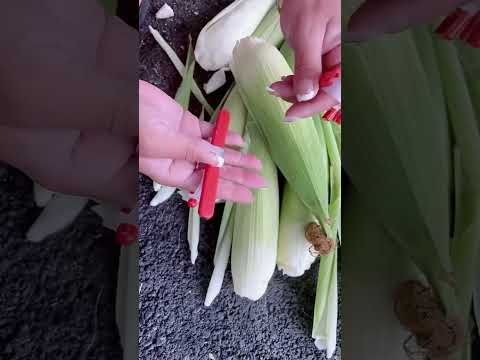 #automobile #foodproduction #foodbusiness #agriculture #foodindustry #farm #foodsector #farmlife