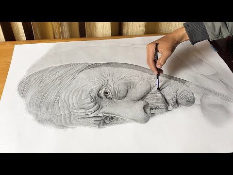 Drawing Old Lady On A1 Paper