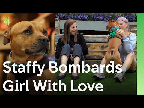 Rescue Dogs Find Their Perfect Match | The Dog House 🐶
