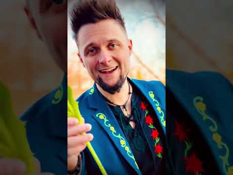 Tulipan ❤️🌷💃🪗