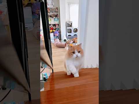 รายงานตัว