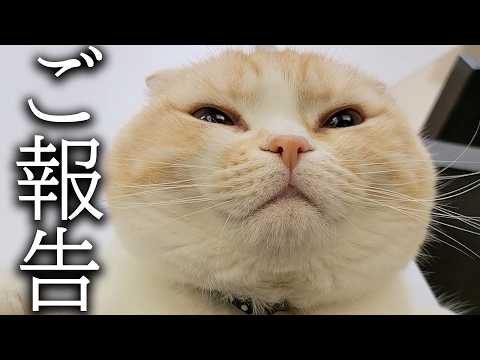 突然病院から重要なお知らせが...