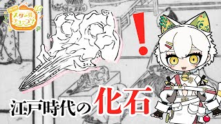 【4時間目】江戸時代の化石ってどんなもの？驚きの発見にせまる！【#スクールオブチューブ江戸時代講座 #白亜マウル 】