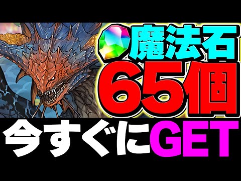 この動画を見れば魔法石65個をゲット出来ます！13周年に絶対に備えよう！LV1-LV10共通編成！2月クエスト【パズドラ】