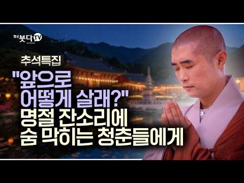 "너 언제 취업하니?" 명절 잔소리에 숨이 턱 막힐 때 | 추석특집 | 보만스님의 고민상담 1회