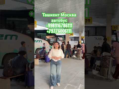 ташкент москва автобус #ташкент #москва #автобус #shorts #shortvideo #