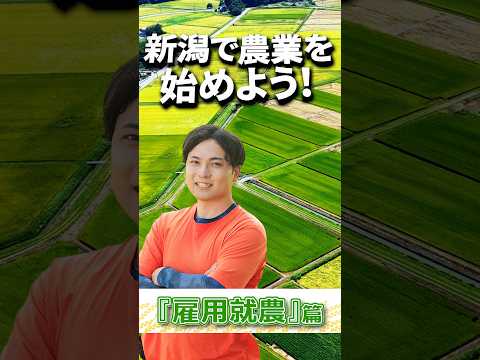 農業法人で働くには？【雇用就農篇】shorts ver