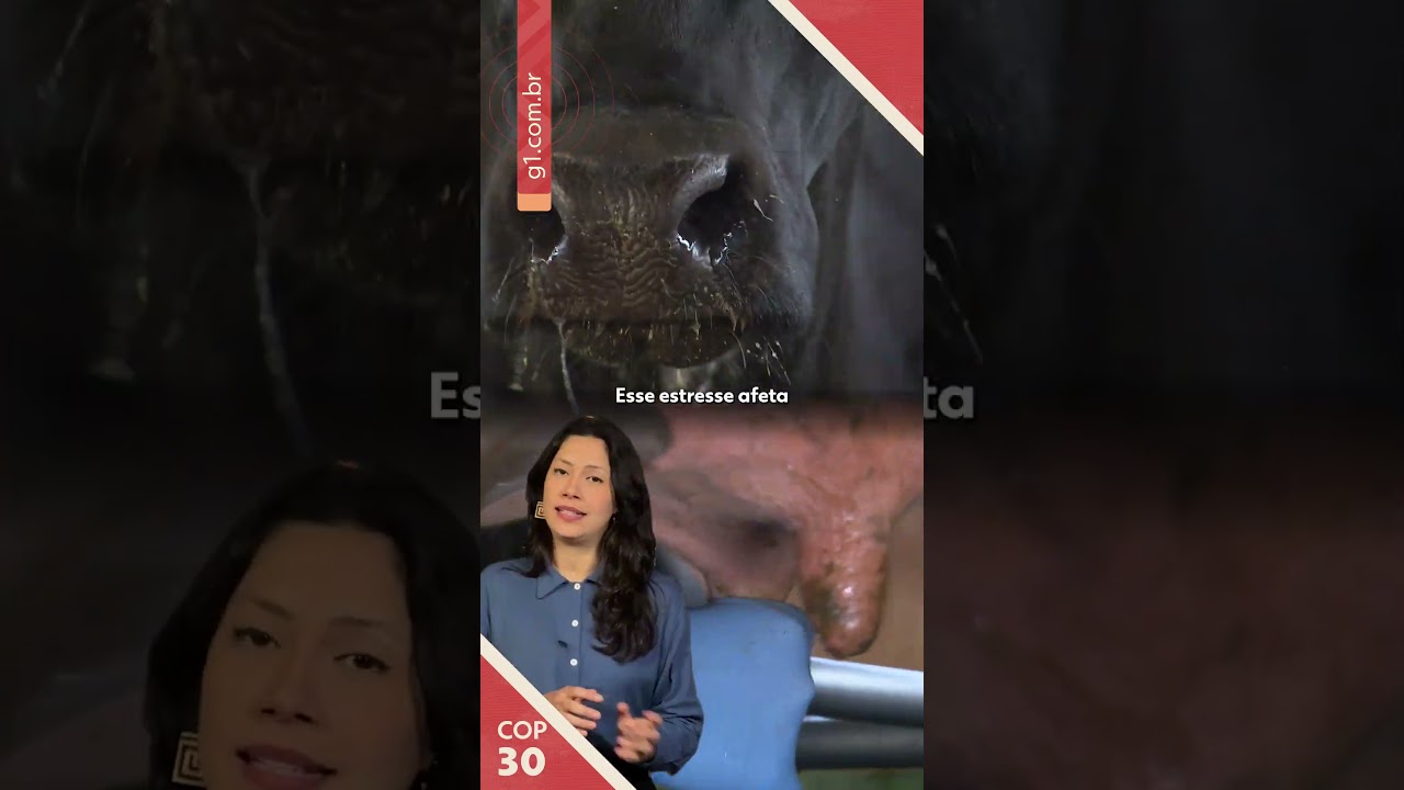 A carne vai ficar mais cara com o aquecimento global?