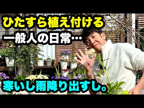 ◆【寒い…】【雨…】ただただ植え続ける一般人の日常の風景。