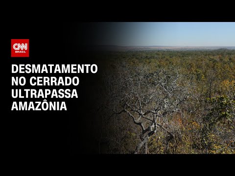 ​Desmatamento no Cerrado ultrapassa Amazônia | CNN PRIME TIME