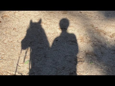 ✨EXPLICATIONS✨ Pourquoi ai-je vraiment arrêter l’équitation ??