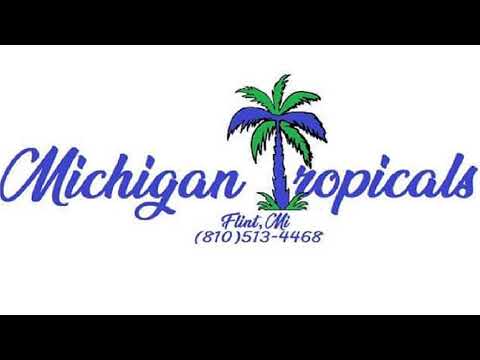 Michigan Tropicals LLC Live Stream 