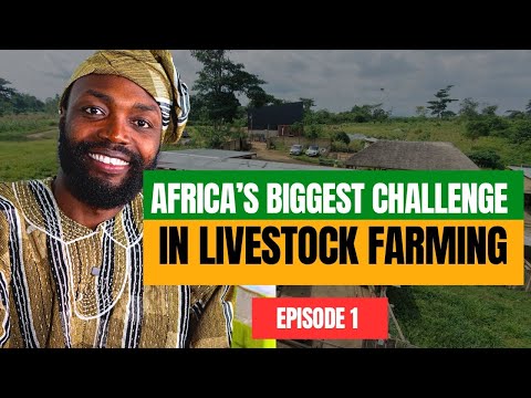 THE BEGINNING OF THE GREATEST INNOVATION FOR AFRICAN LIVESTOCK FARMERS