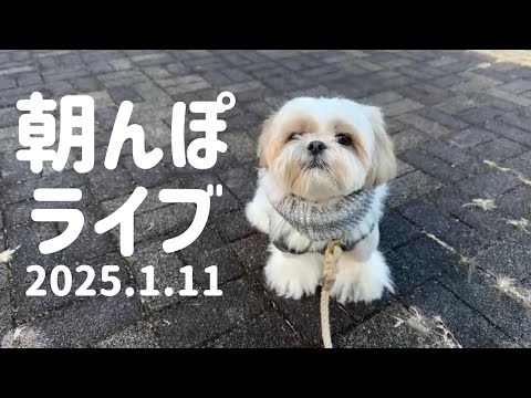 【生配信】朝んぽライブ。成人式で起こった衝撃事件の話。（2024.1.11）